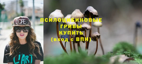 круглые Гусев