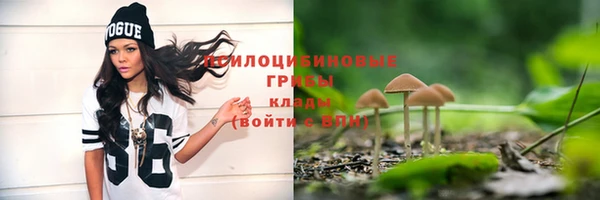 круглые Гусев