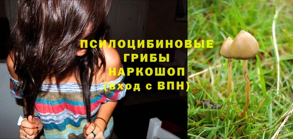 кокс Гусиноозёрск