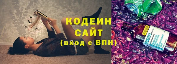 круглые Гусев