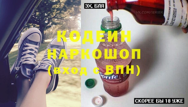 круглые Гусев
