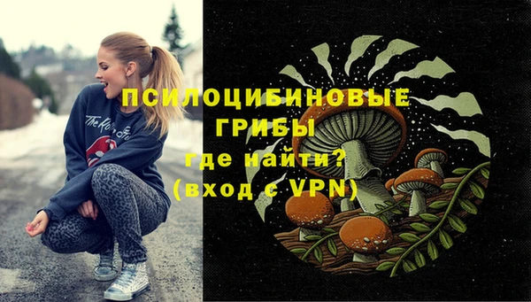 круглые Гусев