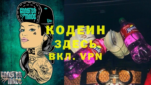круглые Гусев