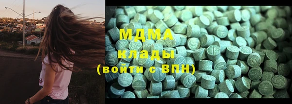 круглые Гусев